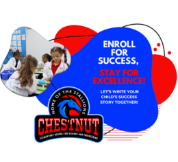 Chestnut Elementary School for Science and Engineering Image